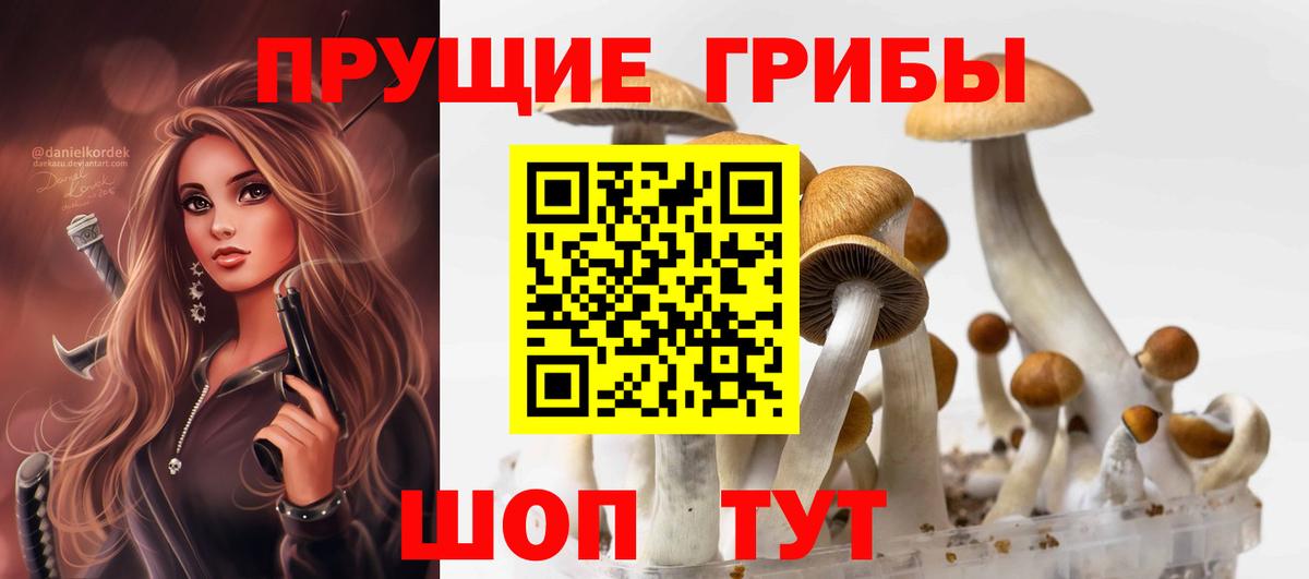 Тобольск  купить наркотики цена  Вход с VPN  Галлюциногенные грибы прущие грибы 